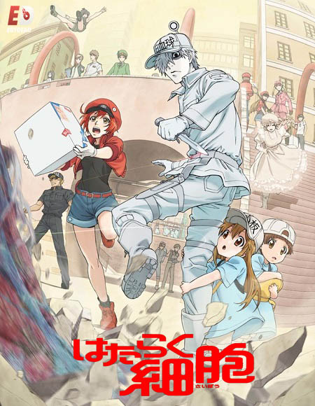 انمي Cells at Work الموسم الثاني الحلقة 6 مترجمة