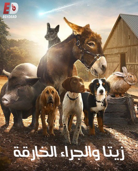 مسلسل زيتا و الجراء الخارقة الجزء الاول الحلقة 3 مدبلجة