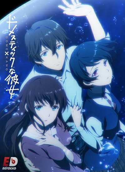مشاهدة انمي Domestic na Kanojo الحلقة 7