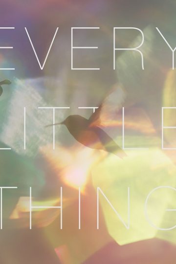 Every Little Thing ( 2024 )