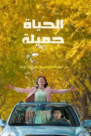 Life Is Beautiful ( 2022 )