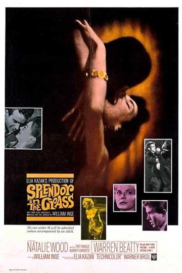 Splendor in the Grass ( 1961 )