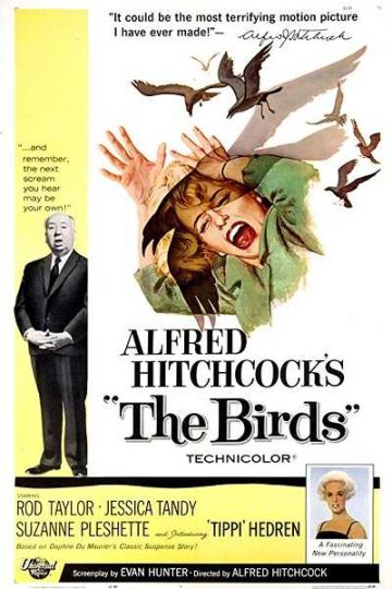 The Birds ( 1963 )