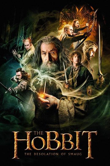 The Hobbit 2 The Desolation of Smaug ( 2013 )
