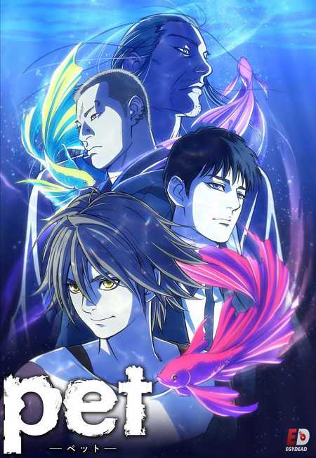 انمي Pet الحلقة 11 مترجمة
