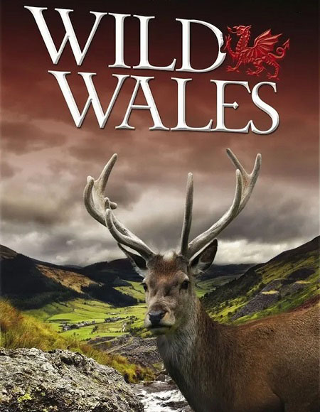 مسلسل Wild Wales الحلقة 1 مترجمة