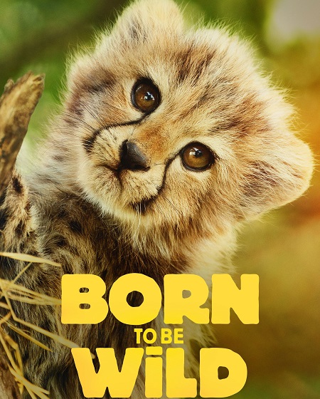 مشاهدة مسلسل Born to be Wild الموسم الأول 1 الحلقة 2