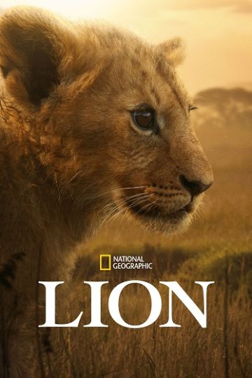 Lion الحلقة 1